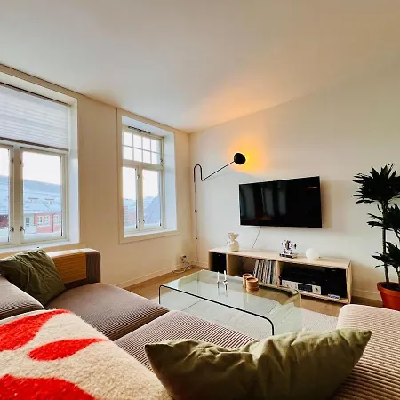 Central Apartment In Trondheim Appartamento *